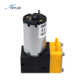 Resistance chemical Ink Pump with DC motor